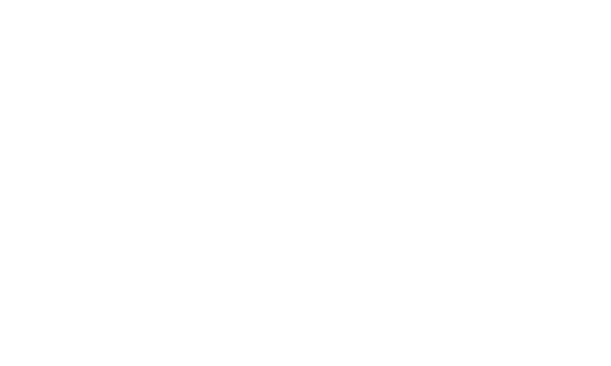 Logo (hvid tekst)
